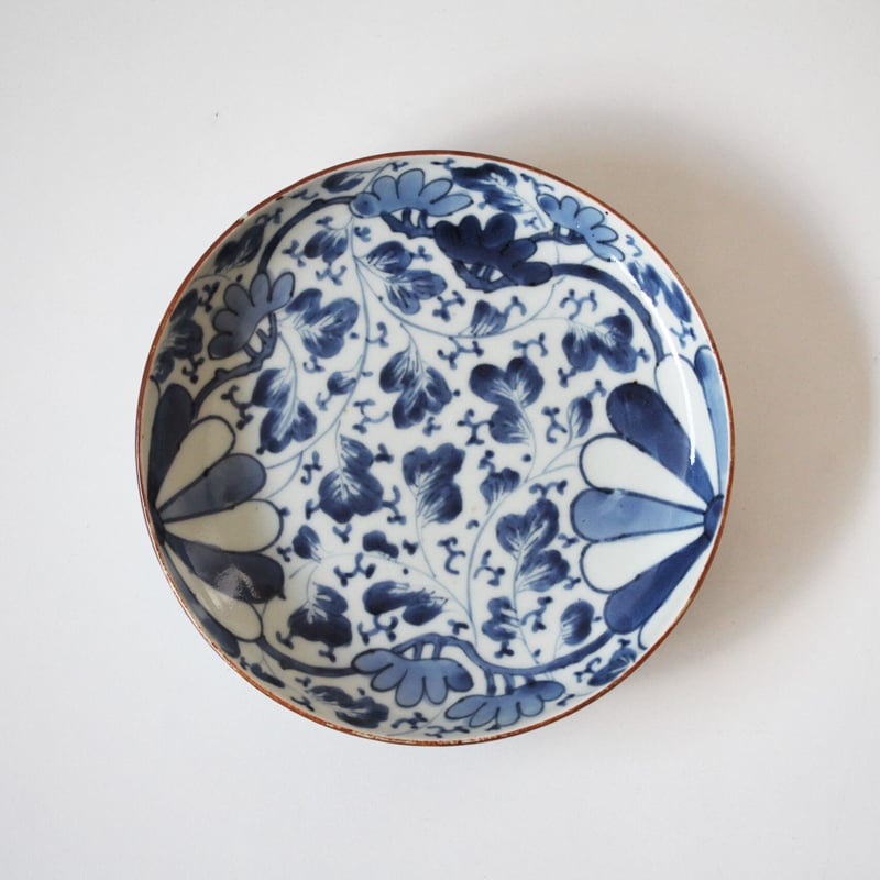 数と骨董】古伊万里染付松菊唐草皿（その2）d18.6cm Imari Blue