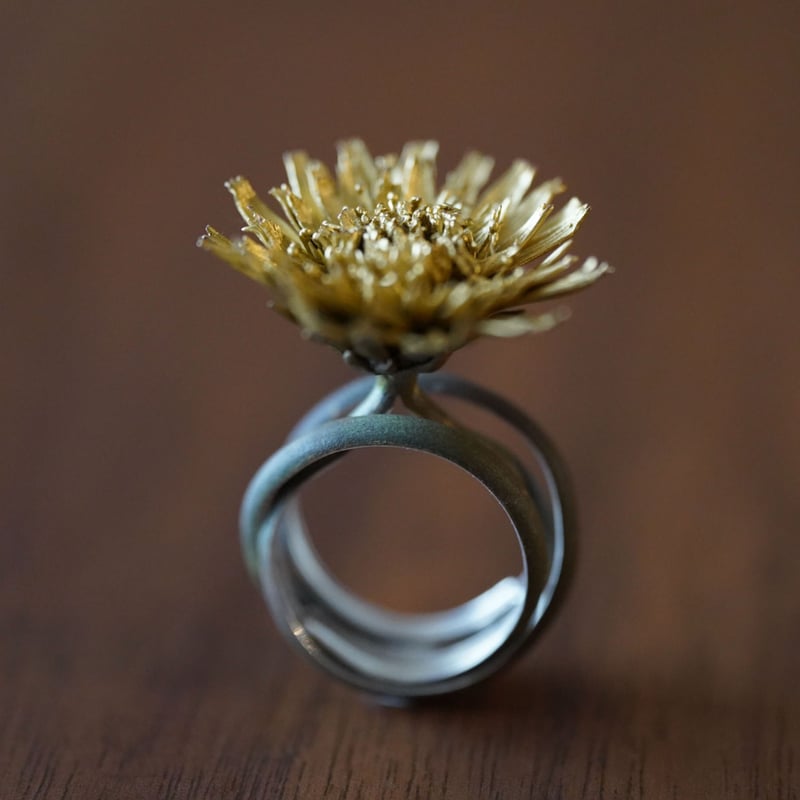 kanata　リング JIRO KAMATA