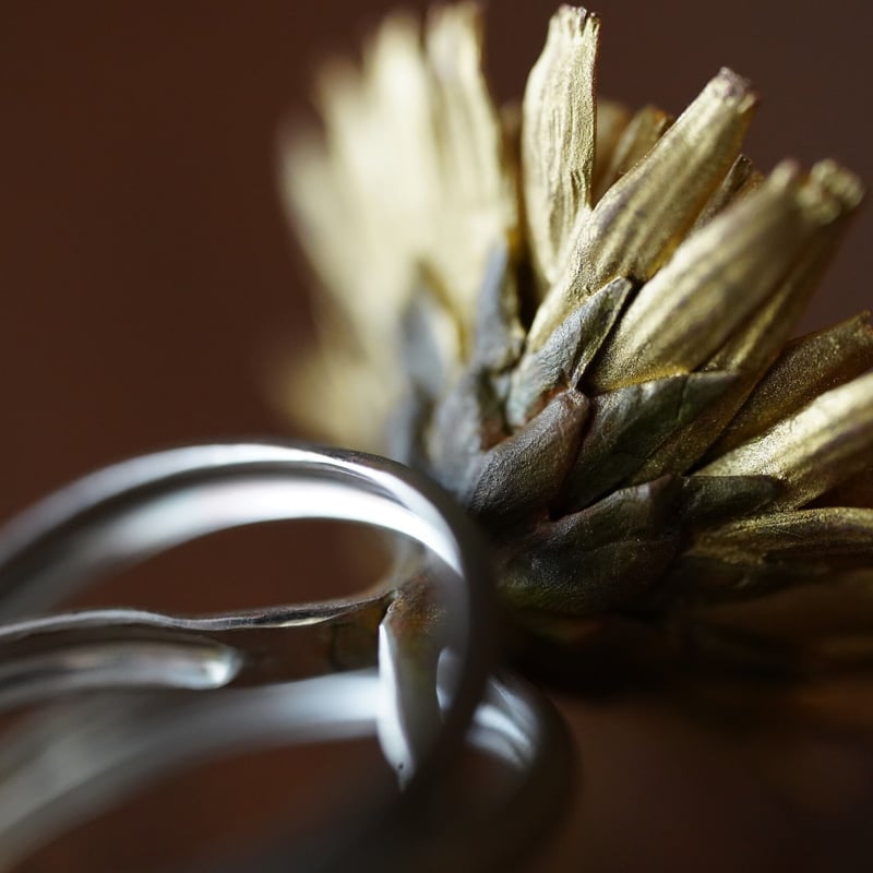 蒲公英リング (Dandelion ring) | Shota Suzuki
