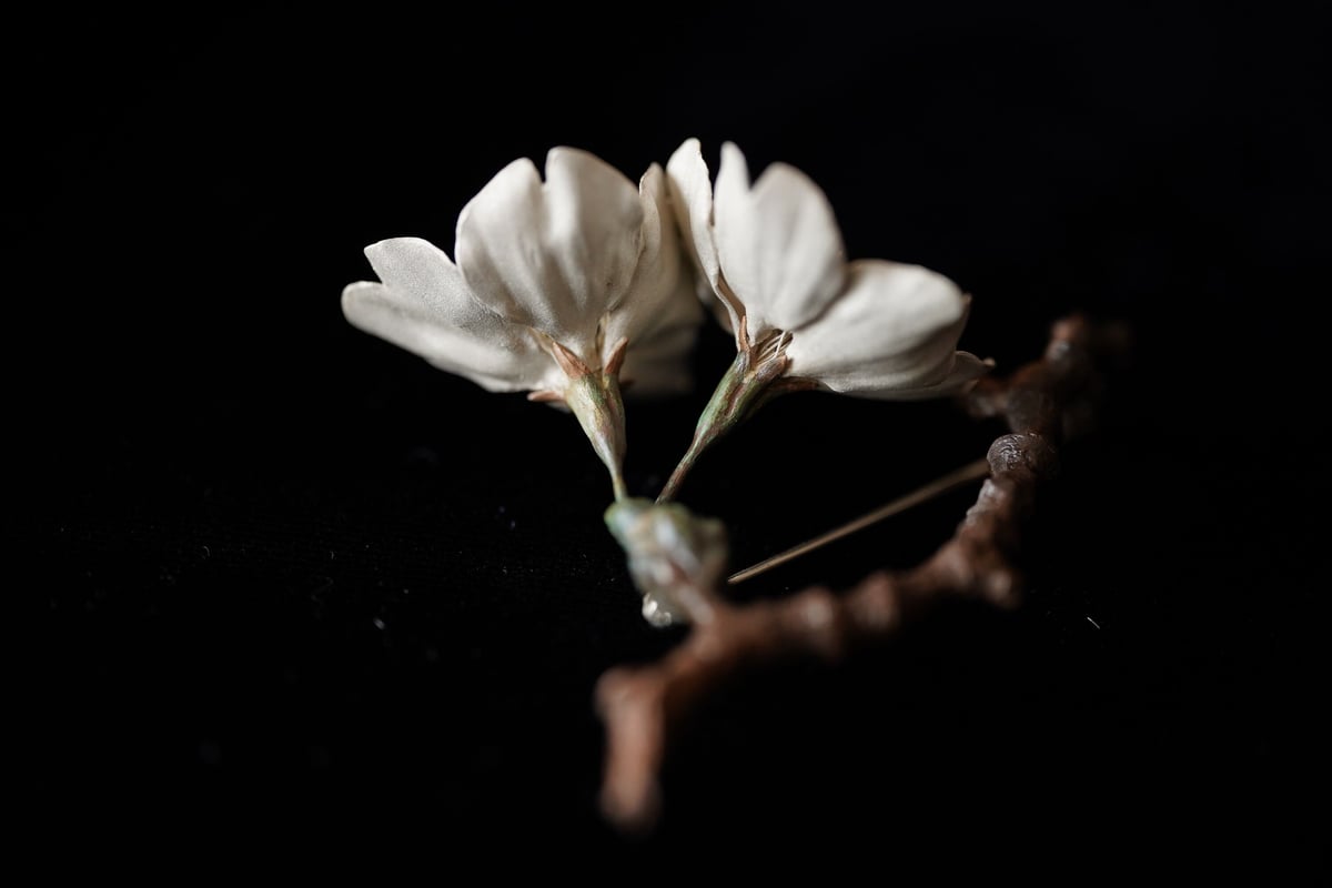 桜ブローチ（The cherry blossoms brooch） | Shota Suzuki
