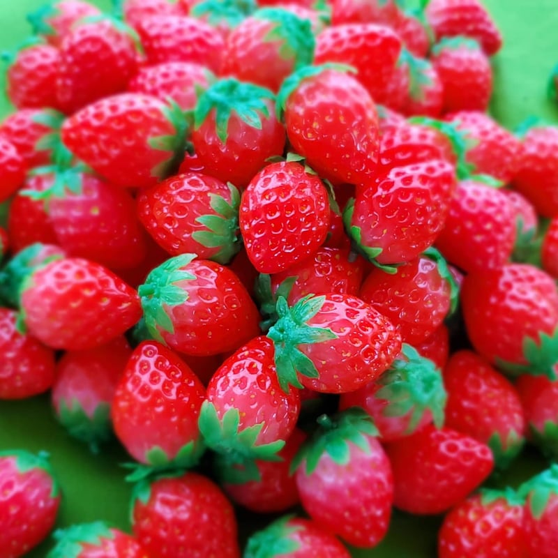 いちごページ 8859-30046778-02b.jpg