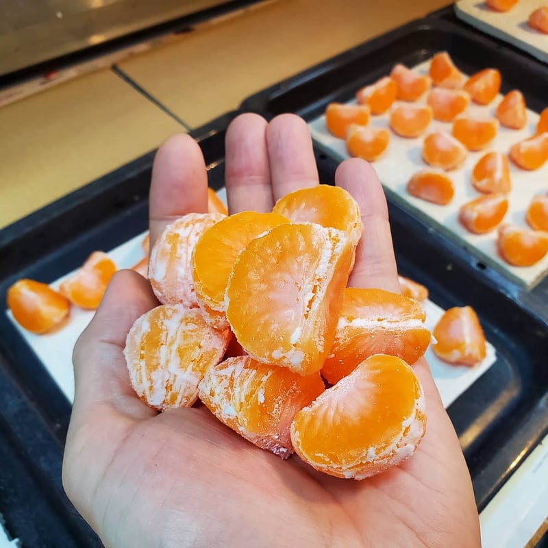 【みかん】  Man まとめ売り (特典付き) みかん」筋まで手間暇かけて仕上げてます。 | Food Sample Craftman Shop