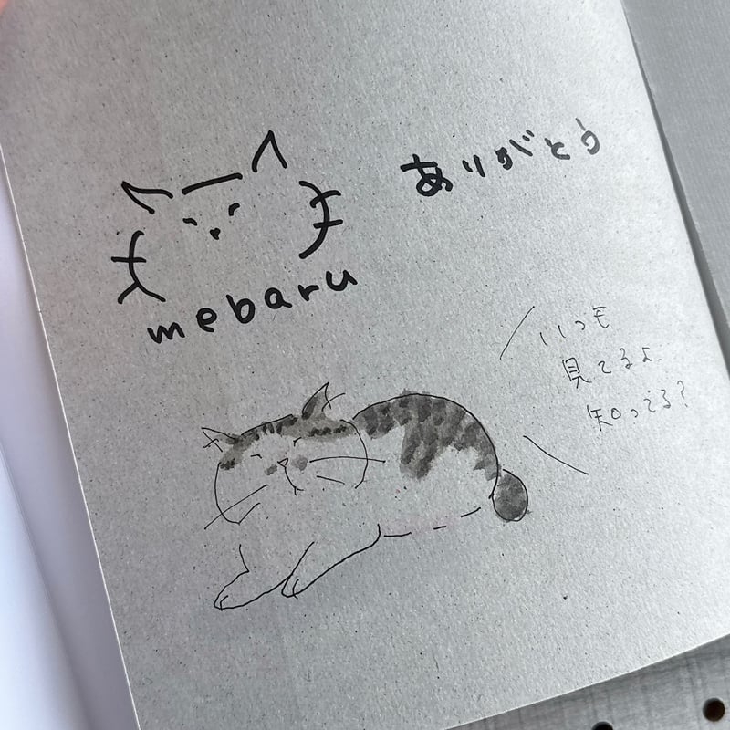 猫のパステル画（サイン入り） 猫のダヤン 88グラフ「旅支度」/池田あきこ（直筆サイン入り/限定200枚）