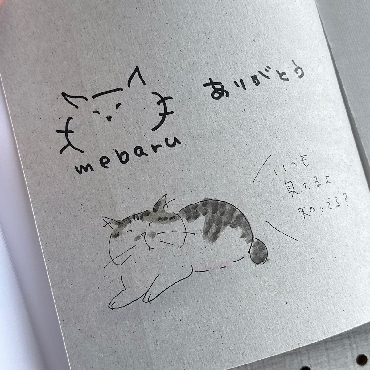 直筆イラスト＆サイン本 MEBARU著「ちっちゃなねこたちのおるすばん