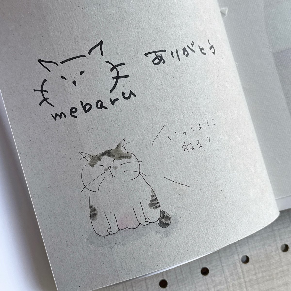 直筆イラスト＆サイン本 MEBARU著「ちっちゃなねこたちのおるすばん