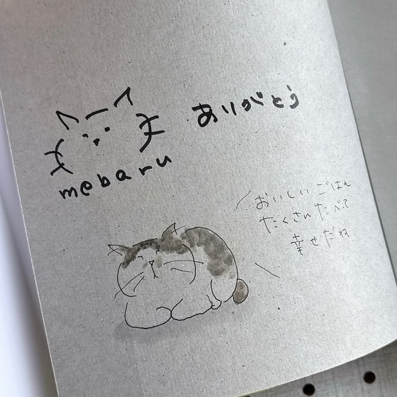 ばばのぼる先生直筆サイン入りの猫の絵 直筆イラスト＆サイン本 MEBARU著「ちっちゃなねこたちのおるすばん