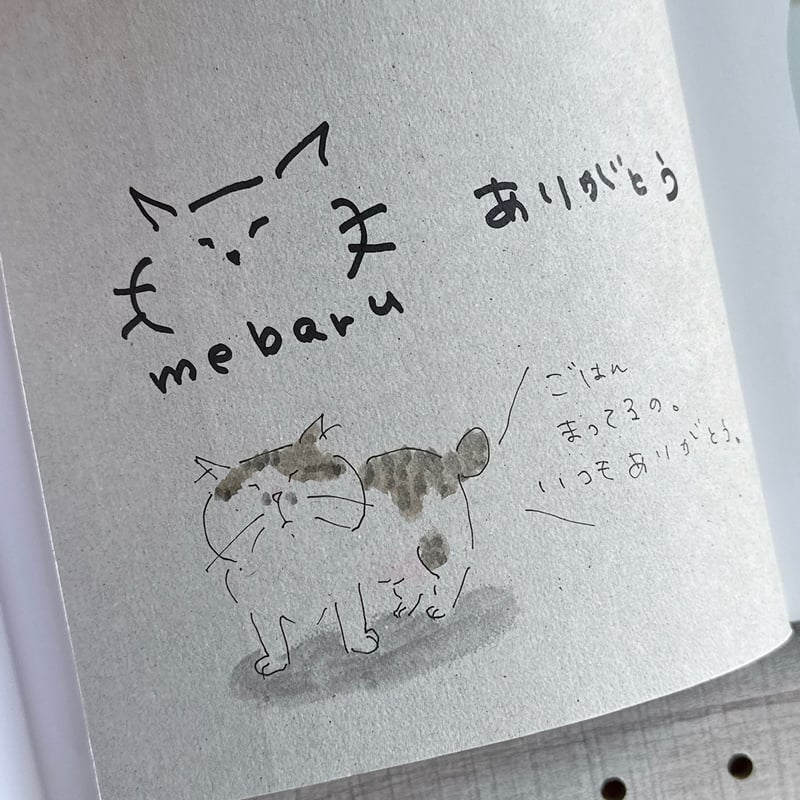 直筆イラスト＆サイン本 MEBARU著「ちっちゃなねこたちのおるすばん