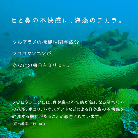 【アレルギーが辛い飼い主さんへ！】隠岐の西ノ島産海藻 ツルアラメ ＜60カプセル＞【機能性表示食品】