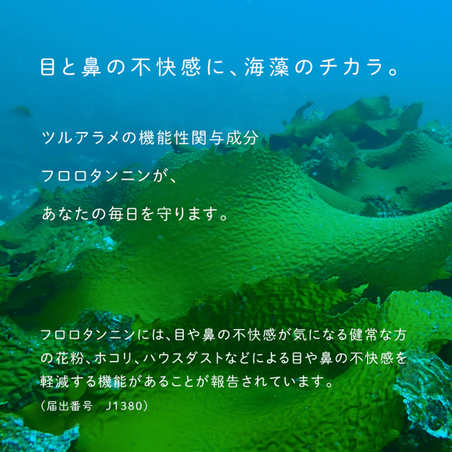 698d406b13061f1ed094eaea