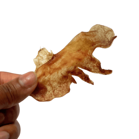 鶏のとさか【Wancoworks Original】🐶賞味期限間近！