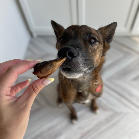 うなぎの頭【Wancoworks Original】🐶賞味期限間近！