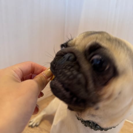 地鶏スティック【Wancoworks Original】 🐶賞味期限間近！