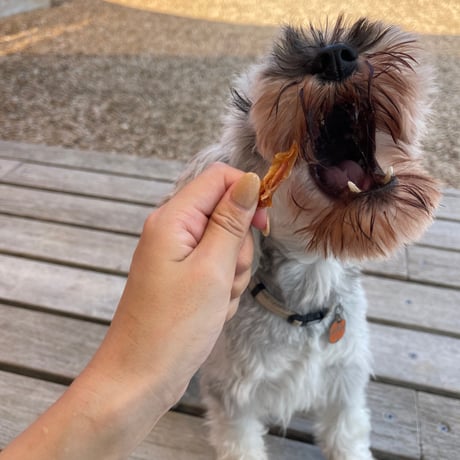 数量限定！とりやげん軟骨【Wancoworks Original】🐶賞味期限間近！