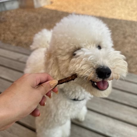 カンガルースティック【Wancoworks Original】🐶賞味期限間近！