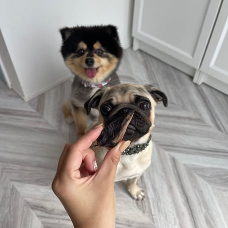 うなぎの頭【Wancoworks Original】🐶賞味期限間近！