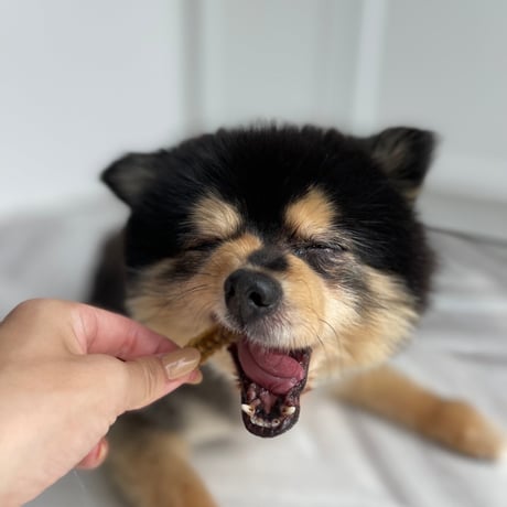 うなぎの骨【Wancoworks Original】🐶賞味期限間近！