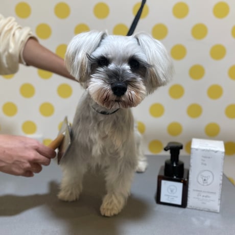 水のいらないシカシャンプー 250ml【子犬~シニア犬 すべての愛犬用】