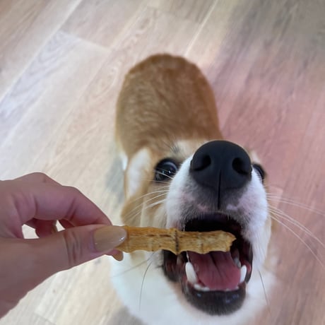 地鶏スティック【Wancoworks Original】 🐶賞味期限間近！