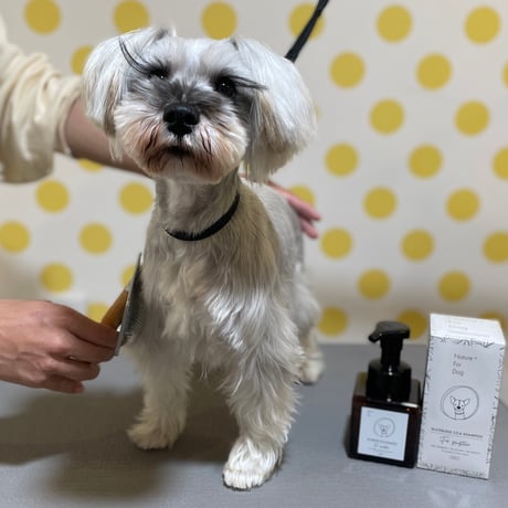 水のいらないシカシャンプー 250ml【子犬~シニア犬 すべての愛犬用】