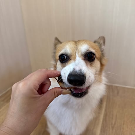 うなぎの頭【Wancoworks Original】🐶賞味期限間近！