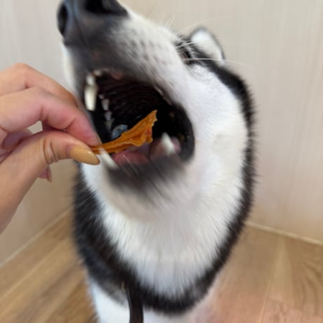 数量限定！とりやげん軟骨【Wancoworks Original】🐶賞味期限間近！