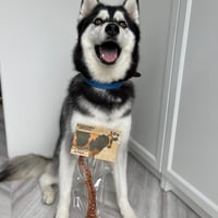 牛アキレス【Wancoworks Original】🐶賞味期限間近！