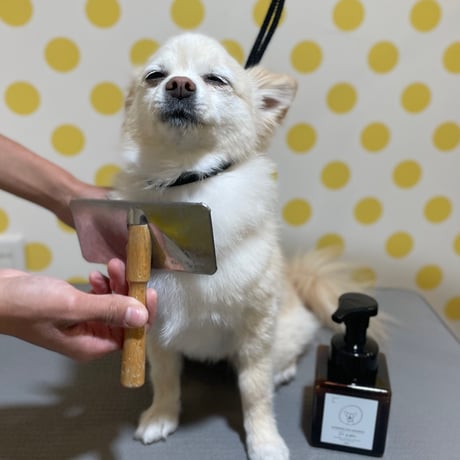 水のいらないシカシャンプー 250ml【子犬~シニア犬 すべての愛犬用】