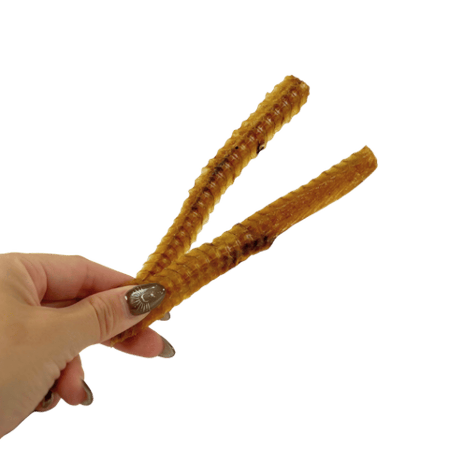 685ce5ec467cc700494e3ee7