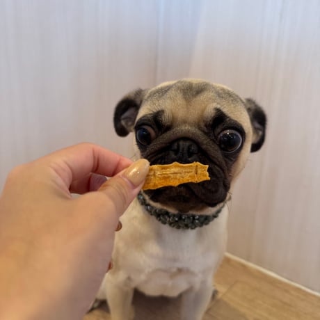 地鶏スティック【Wancoworks Original】 🐶賞味期限間近！