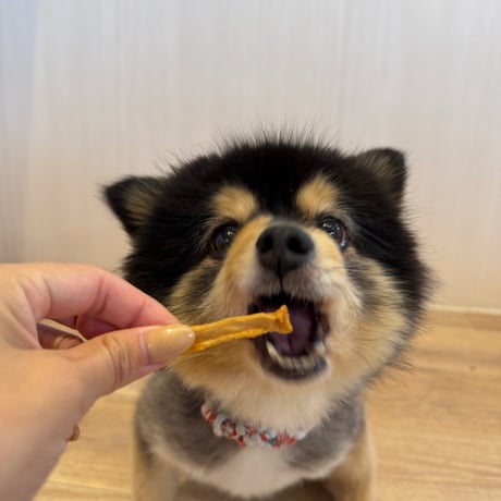 地鶏スティック【Wancoworks Original】 🐶賞味期限間近！