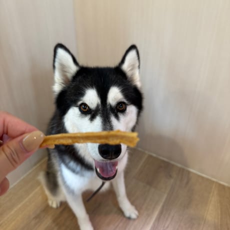 地鶏スティック【Wancoworks Original】 🐶賞味期限間近！