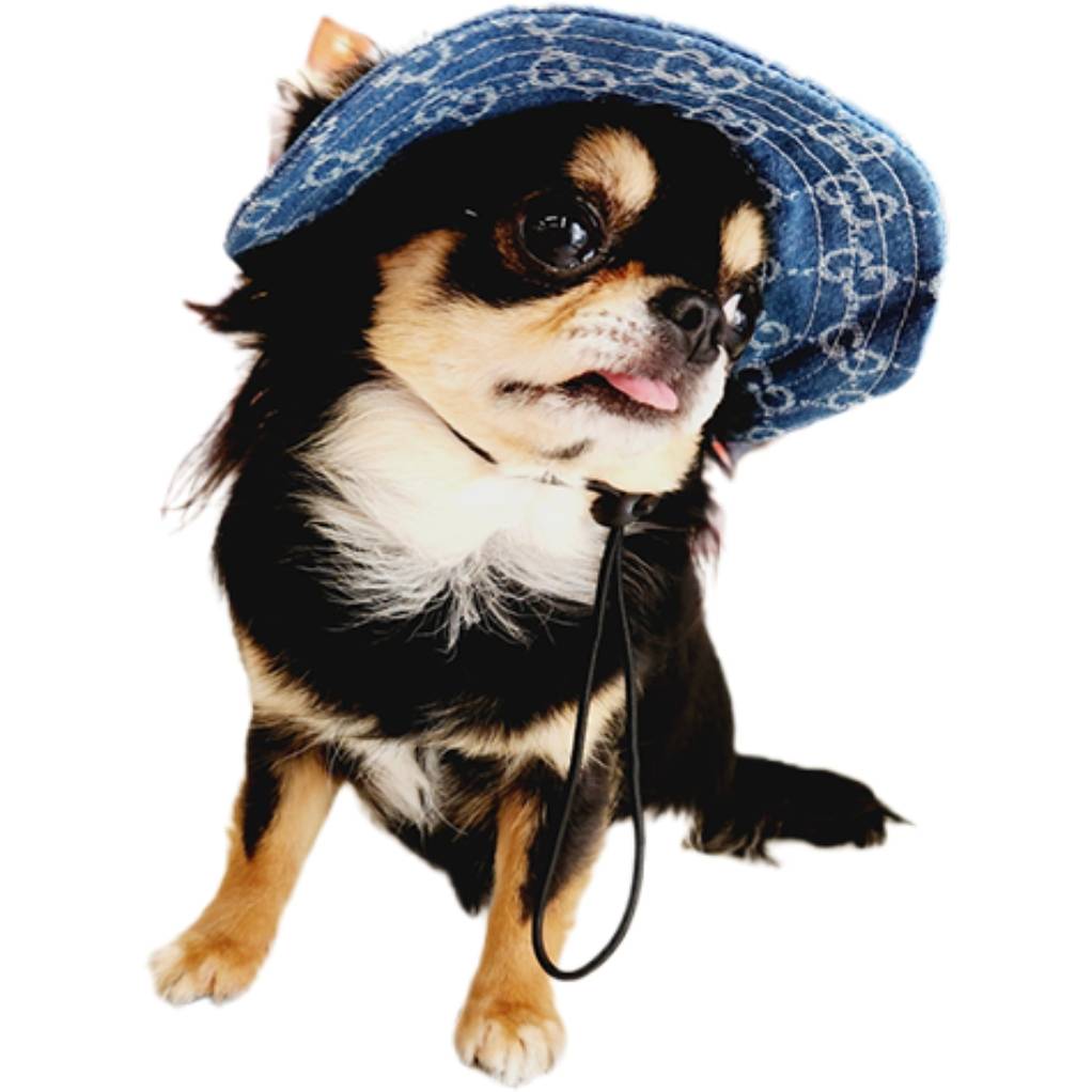 ロゴキャップ 帽子 デニム ハット おしゃれ わんこの帽子 犬の