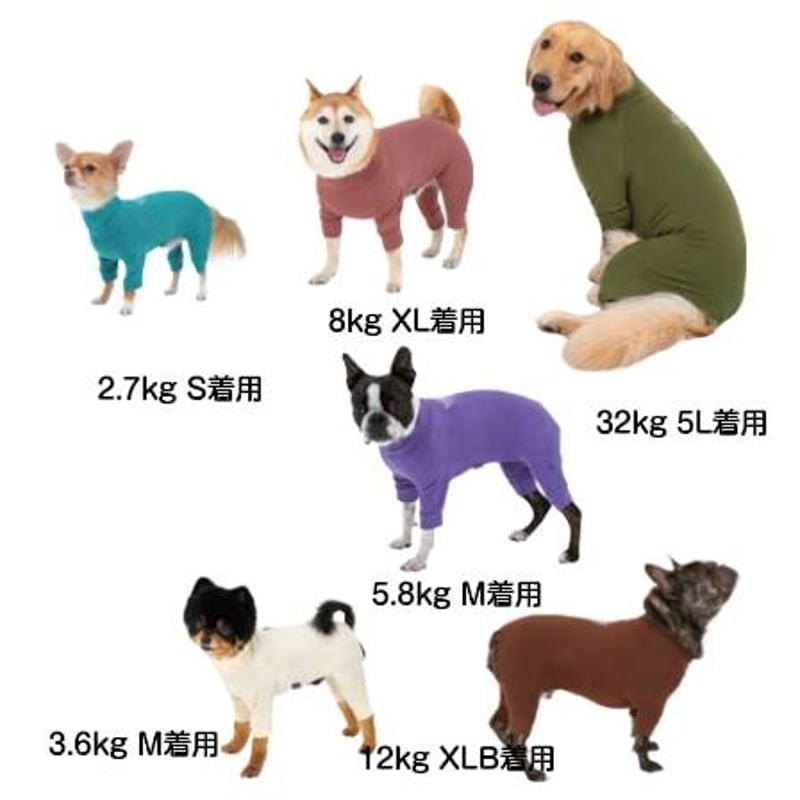 スキンタイトスーツ マンダリンブラザーズ 小型犬 服 ペット 犬の服 犬