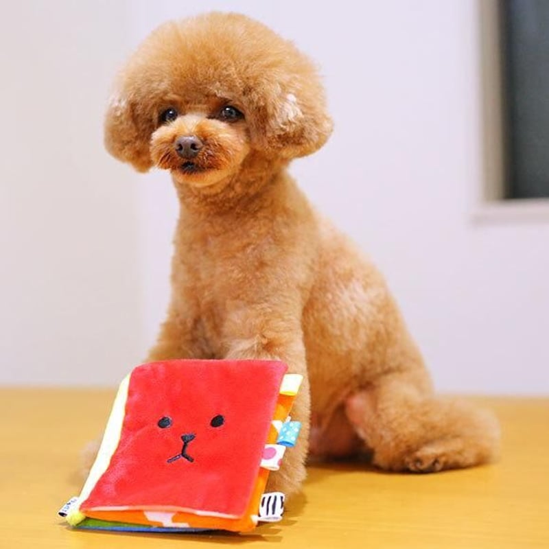 犬 おもちゃ iDog ワンコのえほん カシャカシャ入り アイドッグ 犬の