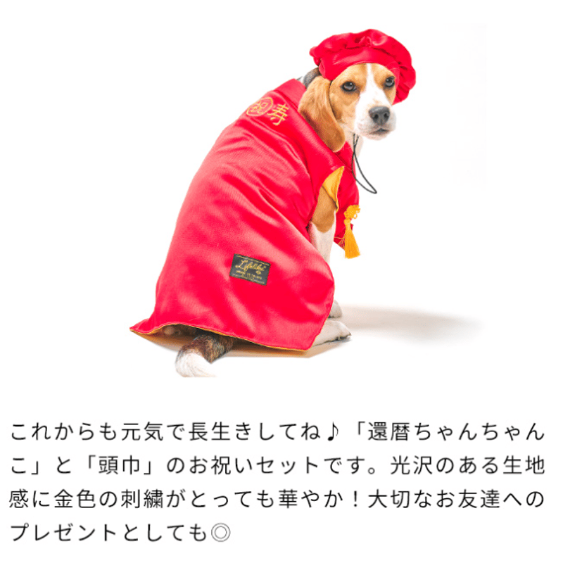 還暦お祝いセット 犬 お祝い 赤いちゃんちゃんこ 犬の服 犬服 写真撮影