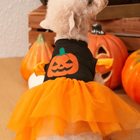 ハロウイン　ドレス　ワンピース　ジャックオランタン　コスプレ　スカート　小型犬　服　イベント
