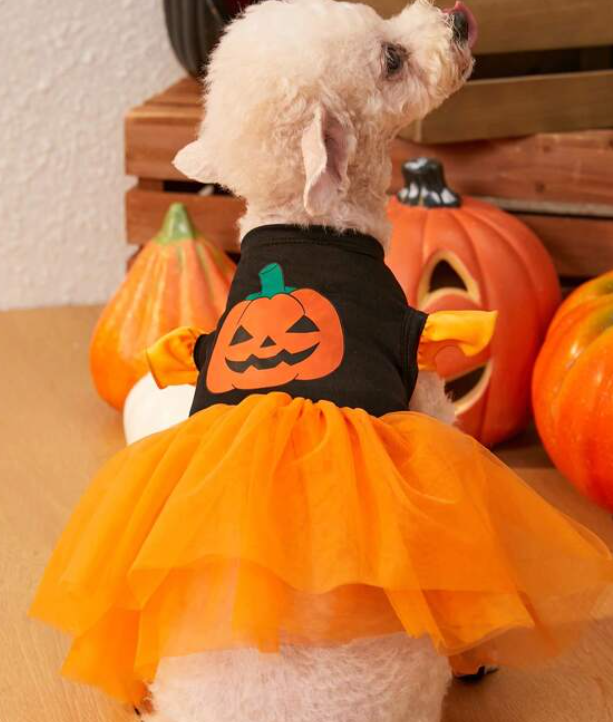 ハンドメイド　犬服　ハロウィン柄ワンピース（オレンジ）　サイズオーダー ハンドメイド 犬服 ハロウィン柄ワンピース（オレンジ） サイズ
