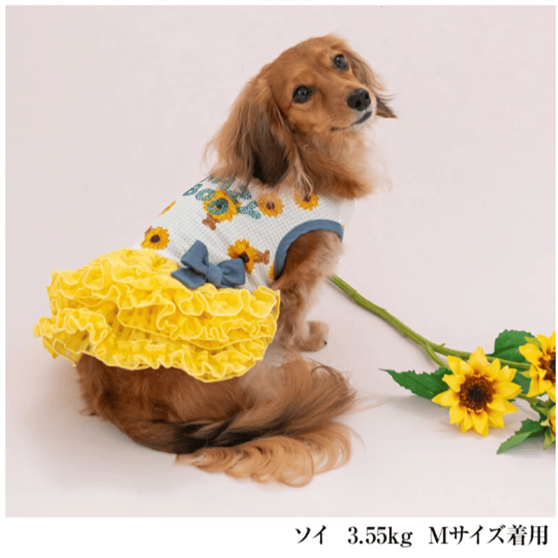 tsumu様専用 もったいなく 犬服ハンドメイド メッシュワンピース(ひまわり)