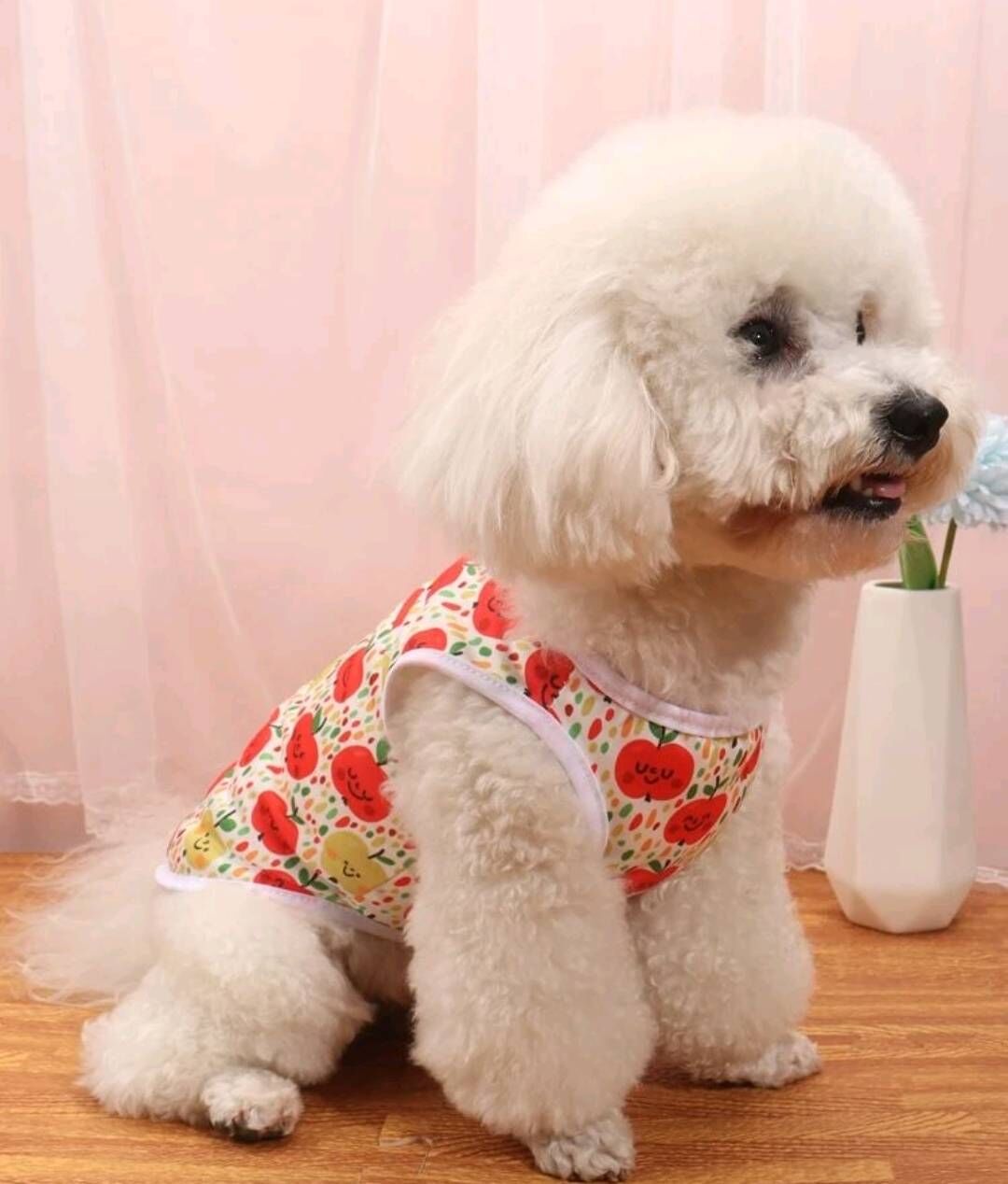 犬服 M わんこの普段着　サイケなりんご petfind_crma-1342