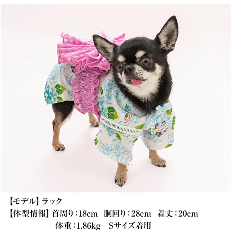 犬服お問い合わせページ 犬服ハンドメイド 犬の服 あじさい柄甚平 CRAZYBOO クレイジーブー ゆかた 着物 CB241074
