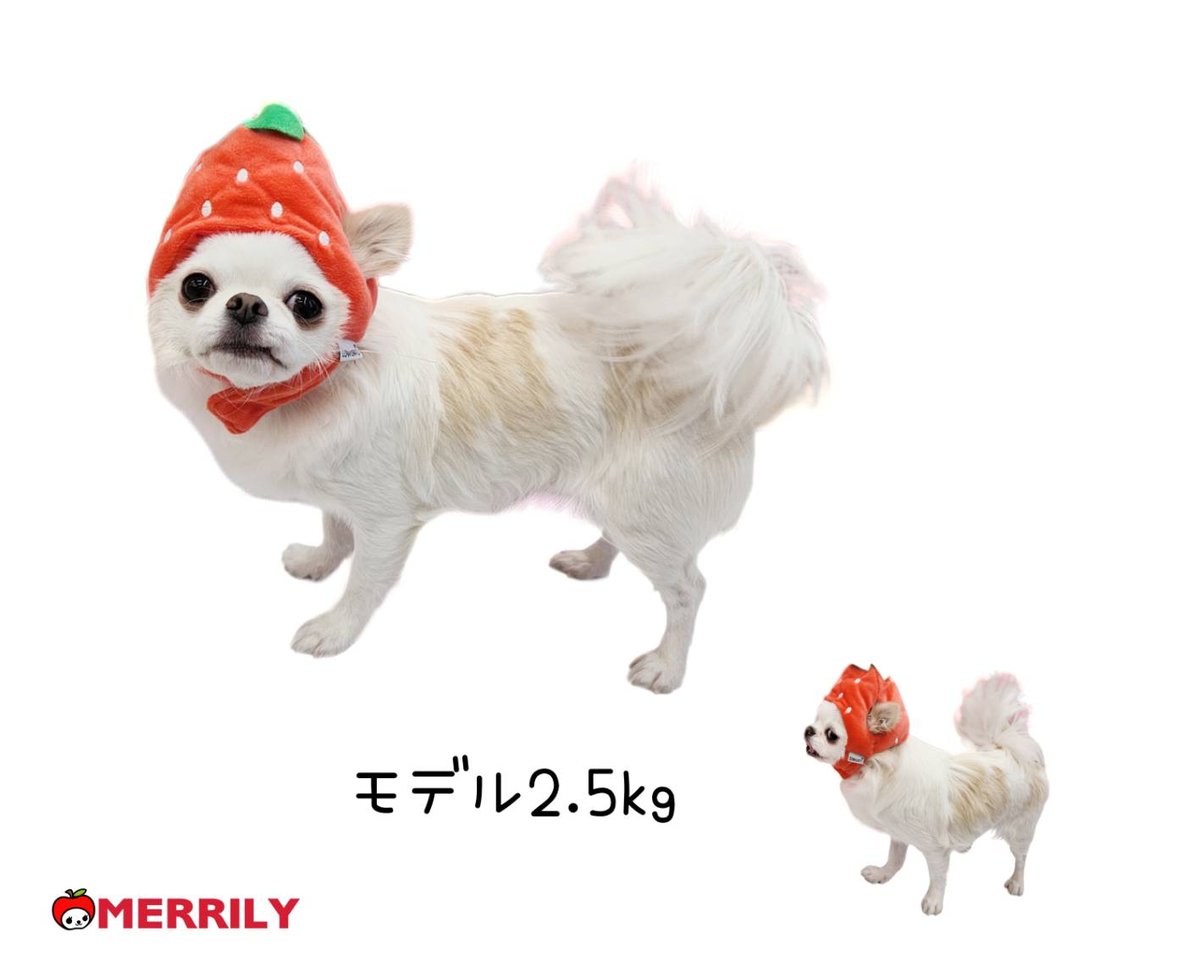 fit=scale-down,w=1200