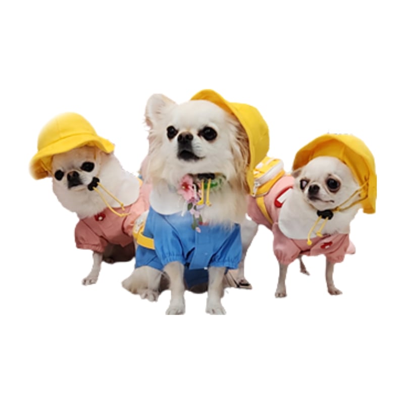 なりきりすいか2024すいかちゃんスモックワンピ/Sサイズ/犬服ハンドメイド なりきりすいか2024すいかちゃんスモックワンピ/Sサイズ/犬服