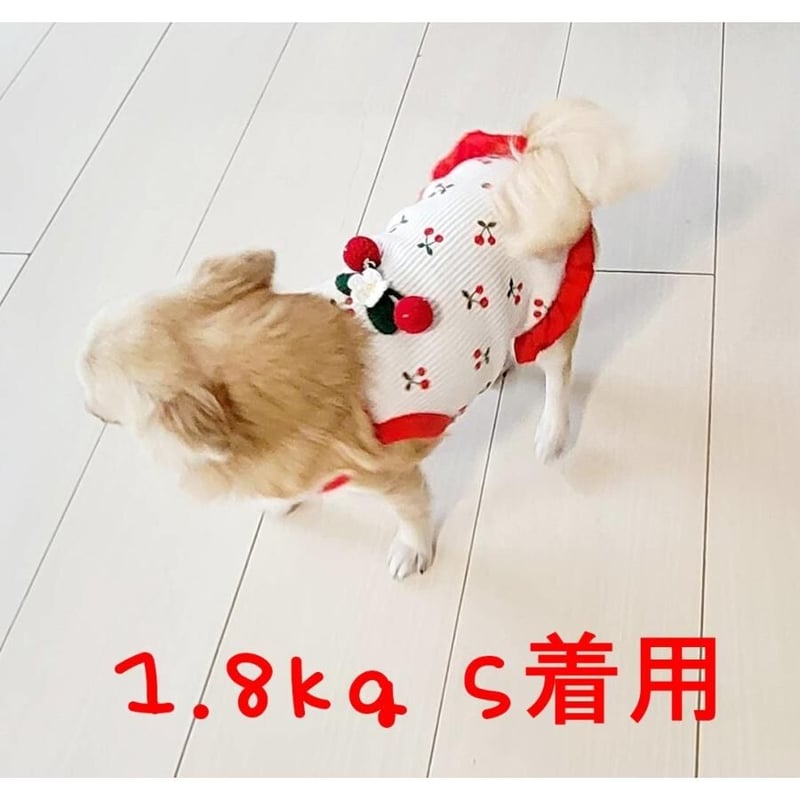 赤いチェリーの犬の服 チェリータンク 犬服 トイプードル チワワ ポメラニアン 小型犬 春夏 T