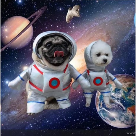 ハロウィン　宇宙服　コスプレ　可愛い　犬服 トイプードル チワワ　小型犬