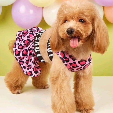 【タグ付き未使用】パメオポーズ　リボン　水着 PAMEO POSE（パメオポーズ）の「Big Bow Bikini（水着）」 - WEAR