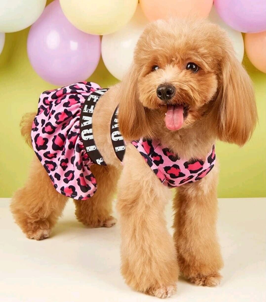 犬用 タンキニ スポーツウェア ビキニ レオパード柄 春夏 犬服 犬