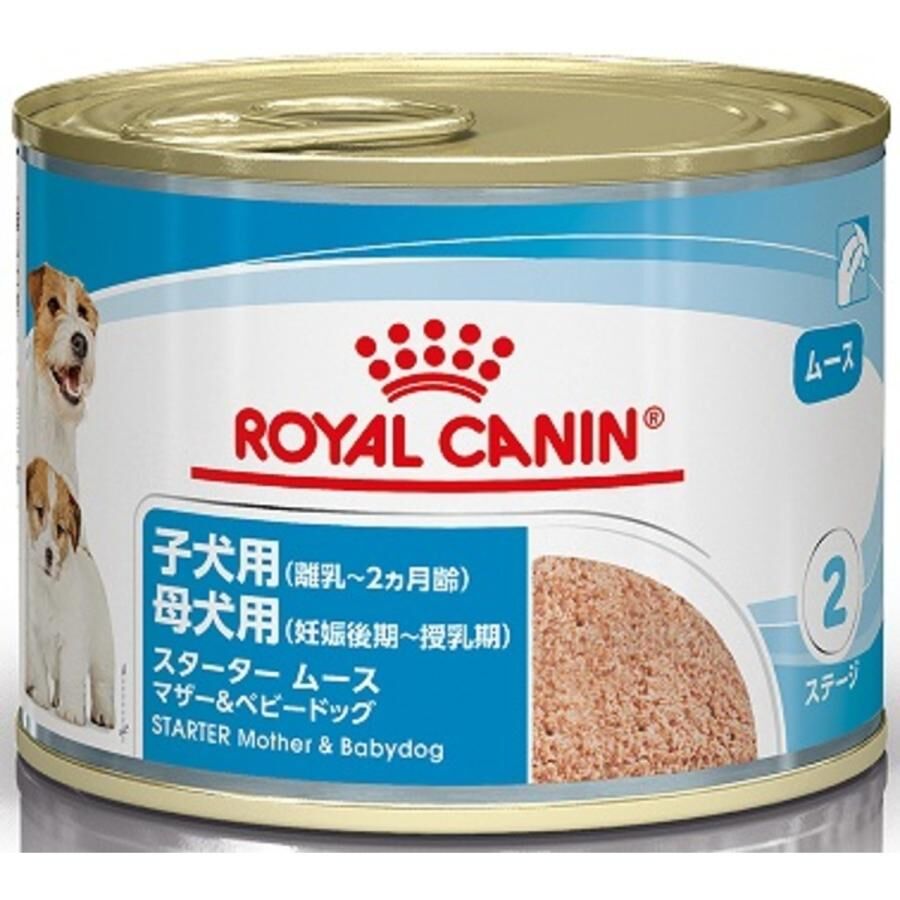  CANIN スタータームース 12×3セット Amazon.co.jp: ロイヤルカナン CHN-WET スターター ムース