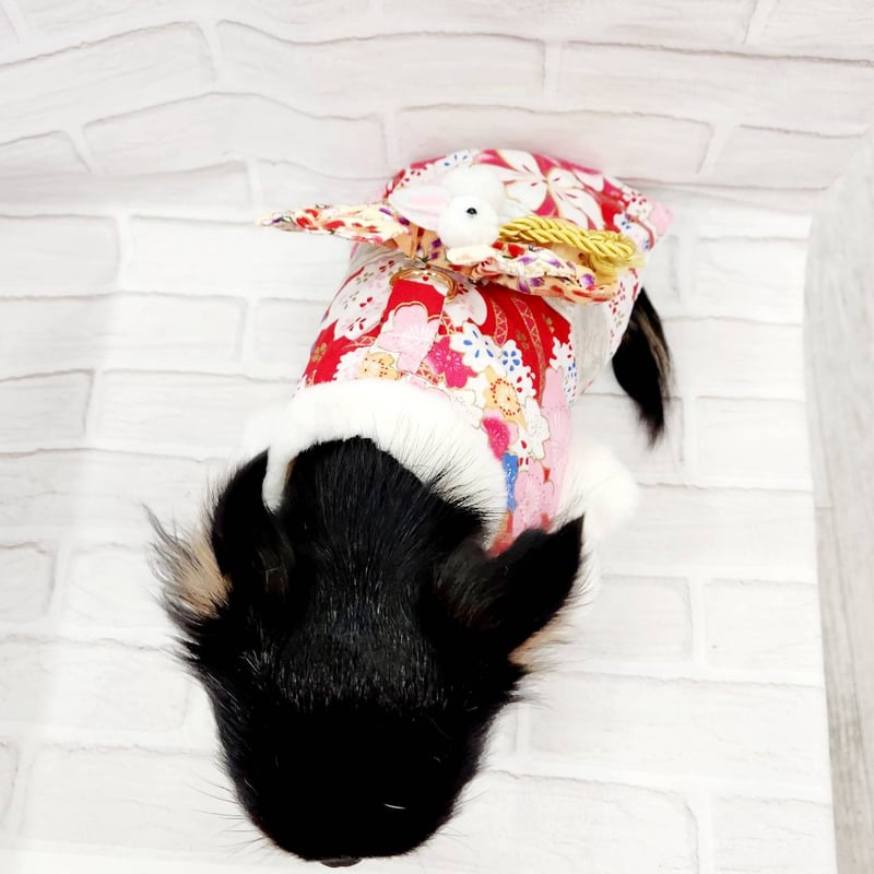 着物 ハーネス付き 犬 犬の着物 晴着 犬の服 ペット 小さい 洋服