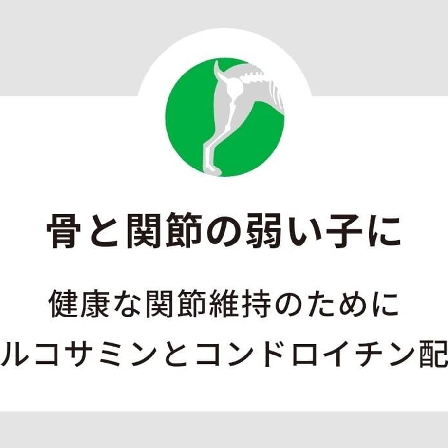 63ca28f252de155b99f2f96e