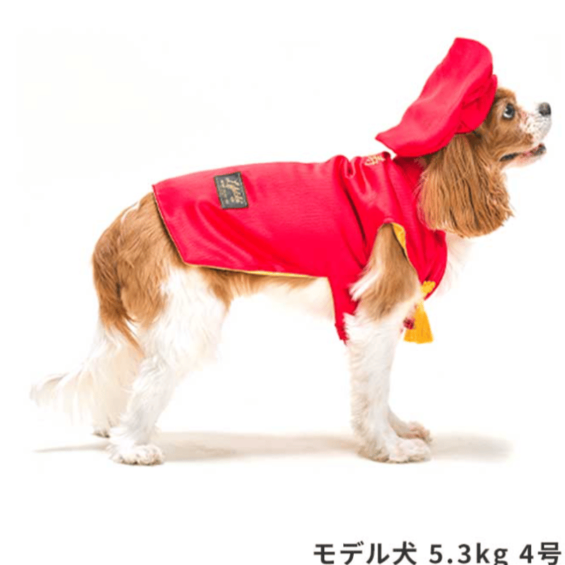 還暦お祝いセット 犬 お祝い 赤いちゃんちゃんこ 犬の服 犬服 写真撮影